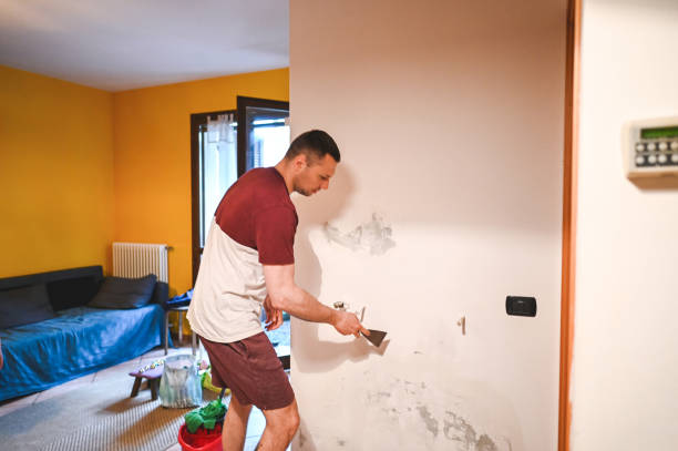 Best Kitchen Mold Remediation in Krugerville, TX